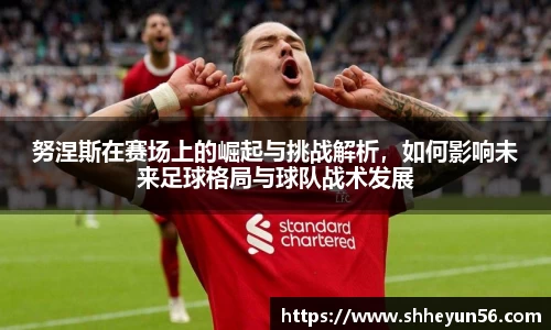 努涅斯在赛场上的崛起与挑战解析，如何影响未来足球格局与球队战术发展
